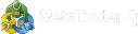 MetaTrader 4 platform